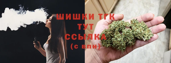 ПСИЛОЦИБИНОВЫЕ ГРИБЫ Михайловск