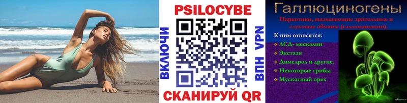 kraken как зайти  сколько стоит  Тамбов  Псилоцибиновые грибы Psilocybe 