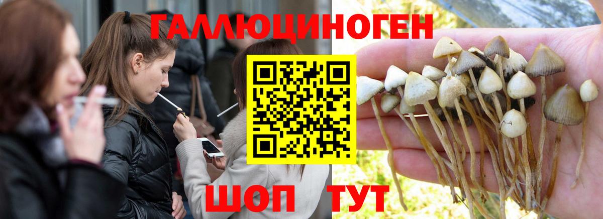 Тамбов  Галлюциногенные грибы Magic Shrooms  Вход с VPN 